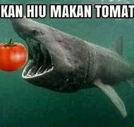 Ikan Hiu Makan Tomat