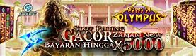 Link Paling Gacor Hari Ini